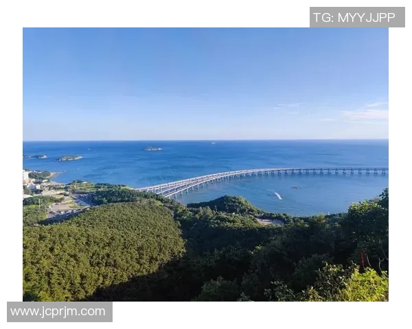 大连足球崛起之路探秘：从历史辉煌到未来展望的全景分析